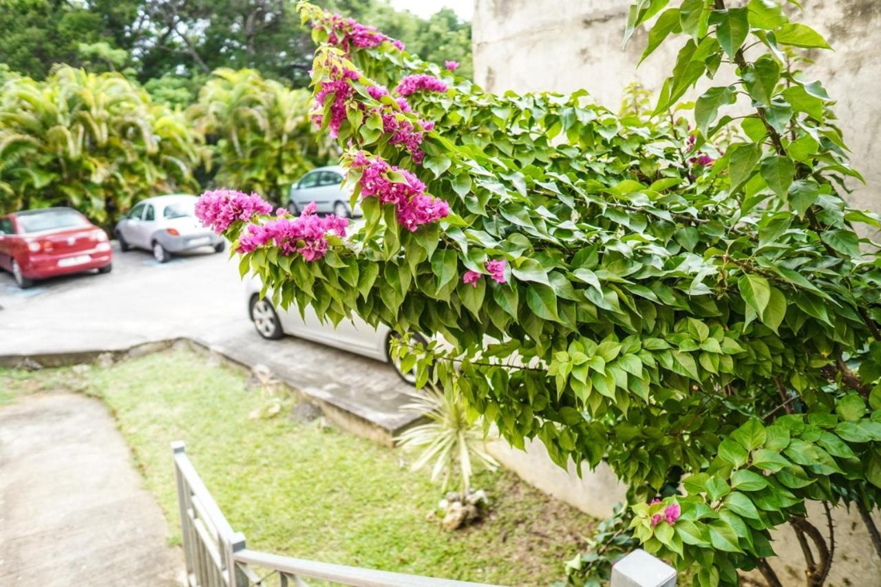 Color Garden - Studio Martinique Sainte-Anne Ngoại thất bức ảnh