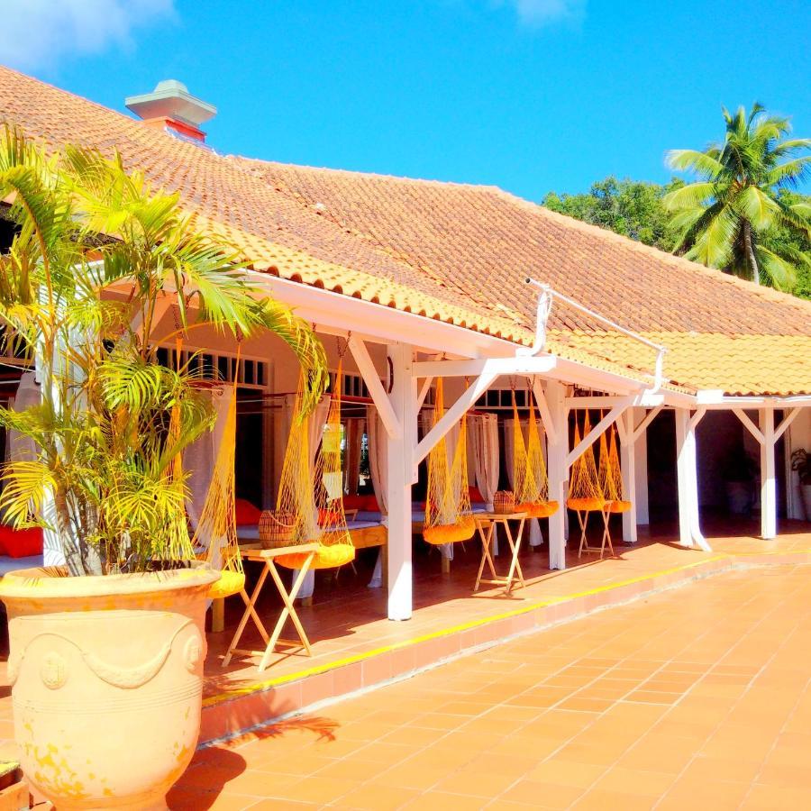 Color Garden - Studio Martinique Sainte-Anne Ngoại thất bức ảnh