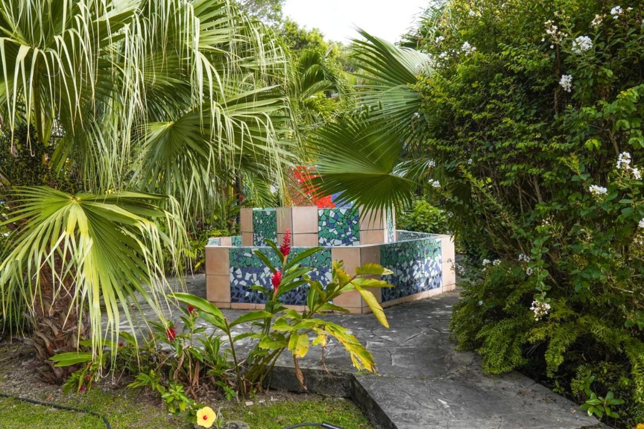 Color Garden - Studio Martinique Sainte-Anne Ngoại thất bức ảnh